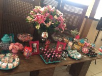 /album/galeria-de-fotos/img-0385-jpg/