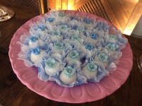 /album/galeria-de-fotos/img-0387-jpg/