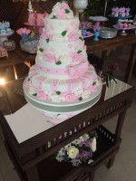 /album/galeria-de-fotos/img-0394-jpg/